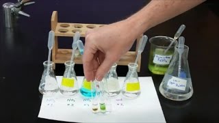 Qual Lab  Nitrate Test [upl. by Leay235]