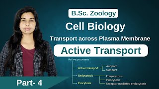 Cell Biology  Transport across Plasma Membrane  Active Transport  Zoology  B Sc  MSc [upl. by Ferris]