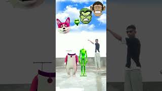 Dame tu cosita amp funny dog head match vfx magic video shorts youtubeshorts video [upl. by Lubet]