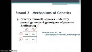 Biology EOC Review  Strands 2amp3GeneticsEvolutionTaxonomy [upl. by Hibbert129]