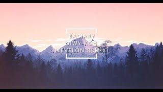 Baciary  SIWY KOŃ Levelon Remix [upl. by Ellerehc]