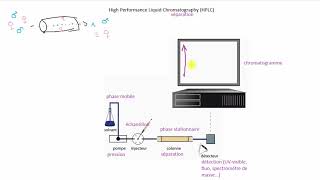 Chromatographie liquide à haute performance HPLC  Rappel théorique [upl. by Clorinda]