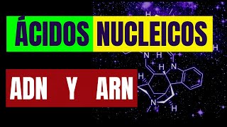 ÁCIDOS NUCLEICOS ADN Y ARN [upl. by Eirelam]