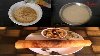 Foxtail Millet Dosa  కొర్రల దోసkorralu dosa recepieHow to make millets dosa in telugu [upl. by Nevram374]