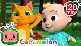 The Animal Dance Song  CoComelon  Animals for Kids  Sing Along  Learn about Animals [upl. by Kcaz139]