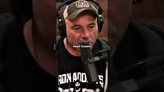 Joe Rogan on GSP Alien Conspiracy [upl. by Newmark878]