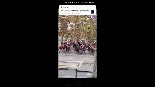 Part 2  Horses Parade Paris France horse parade paris france satisfying shorts [upl. by Odnanref]