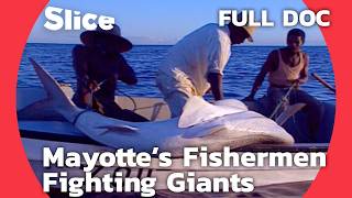 Fundi Shark Masters The Legendary Shark Fishermen of Mayotte  SLICE  FULL DOCUMENTARY [upl. by Moyra]