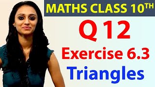 Q 12 Ex 63 Triangles Chapter 6 Maths Class 10th  NCERT [upl. by Anaicilef812]