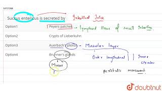 Succus entericus is secreted by  11  DIGESTION AND ABSORPTION  BIOLOGY  PRADEEP  Doubtnut [upl. by Tewell]