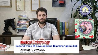 Medical Embryology  Second week of development  Bilaminar germ disc  علم الاجنة  الاسبوع الثاني [upl. by Eecart]