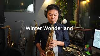 Mike Chin  Winter Wonderland Christmas Alto Sax Cover [upl. by Lledrac186]