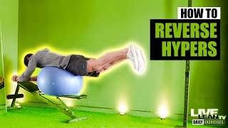 How To Do A Swiss Ball Reverse Hyperextension On Bench  Exercise Demonstration Video and Guide [upl. by Addam]