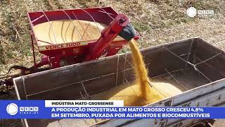 A PRODUÇÃO INDUSTRIAL EM MATO GROSSO CRESCEU EM SETEMBRO PUXADO POR ALIMENTOS E BIOCOMBUSTÍVEIS [upl. by Ahsenar]