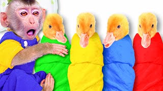 5 Little Ducks Learn Colors Song  Coco Monkey  Nursery Rhymes Kids Songs [upl. by Nie]