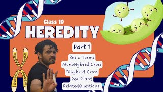 Class X Heredity Part 1 MonoDiHybrid Cross [upl. by Cirre]