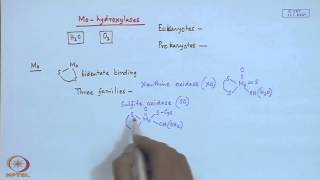 Mod22 Lec22 Molybdenum Enzymes  I [upl. by Tezil867]