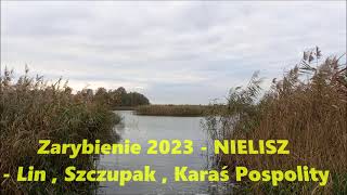 Nielisz 2023  Zarybienie  Lin Karaś Pospolity Szczupak [upl. by Ilka]