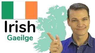 The Irish Language Gaelic [upl. by Fernand763]