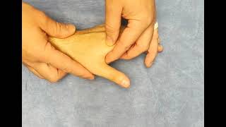 Hand Examination Ulnar Collateral Ligament UCL Injury [upl. by Alhsa]