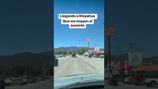 Llegando a Moyahua que me toquen el ausente Juan Manuel Ruiz [upl. by Nomyar835]