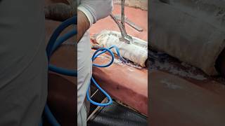 പ്ലാസ്റ്റർ എങ്ങനെ REMOVE ചെയ്യാം ✂️👨‍⚕️🩺plaster plastercutting mbbsvlogs castremoval medico [upl. by Orfinger]