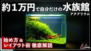 【初心者でもできる】約１万円で始める自分だけの水族館【簡単水草水槽レイアウト】【小型水槽でアクアリウムを始めよう！３】 [upl. by Trudie]