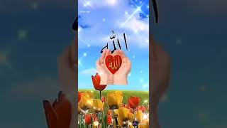 new nath Sharif 2024 ka number Van naat Sharif remix beautiful naat Sharif DJ mein naat Sharif [upl. by Nivrek]