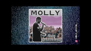 M0LLY  żyję marzeniami Audio [upl. by Kussell]