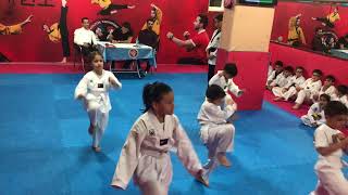 Taekwondo beyaz kuşak sınavı [upl. by Elrae]