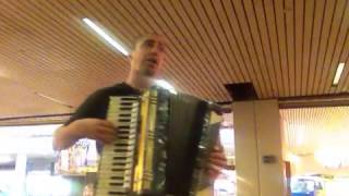 Punk Rock Girl by The Dead Milkmen on Accordion [upl. by Kellia]