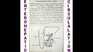 Enterohepatic circulation liver [upl. by Noda468]