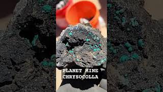 Botryoidal Chrysocolla on Druzy Tenorite Planet Mine LA Paz County AZ mining gems planetmine [upl. by Nahtonoj]