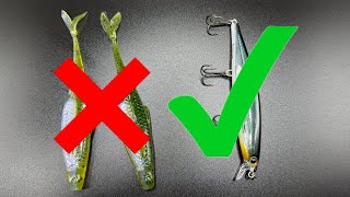 Bank Fishing Top 4 MUST HAVE baits for November [upl. by Stutman]