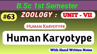 Human Karyotype  Human Chromosome and Patterns of Inheritance  bsczoology humankaryotype [upl. by Eletnahc]