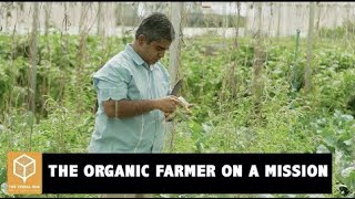 Start Your Organic Farm A Beginner’s Guide to Sustainable Farming [upl. by Enelkcaj]