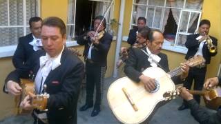 Te lo pido por favor  Mariachi Kawamil [upl. by Neelyk768]