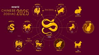 2025 Chinese Zodiac Forecast All 12 ZODIAC WITH DETAILED SUMMARY [upl. by Fogarty]