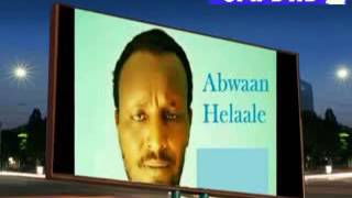 ABWAAN AXMED SHEEKH CALI HEELAALE GABAY [upl. by Attenyl]