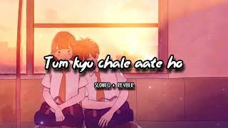 Tum Kyu Chale Aate Ho  Slowed  Reverb  Vicky Singh [upl. by Adnovahs]