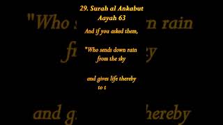 The Miracle of Allah Water from the Sky quran allahloves quotes shorts [upl. by Elvin]