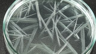 Fast Crystallization Experiment [upl. by Hayikaz]