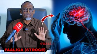 Maxaa keena cudurka Faaliga Stroke  sidee looga badbaadi karaa  Dr Gabboose ayaa sharxaya [upl. by Arrotal74]