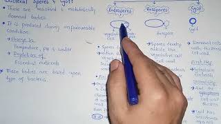 Bacterial Spores And Cyst  Exospore  Endospore  Class 11 [upl. by Llerej]