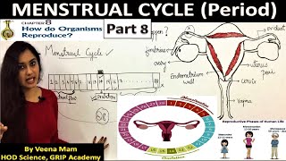 MENSTRUAL CYCLE  How Do Organisms Reproduce  Part 8  Class 10 CBSESSLC [upl. by Pellegrini419]