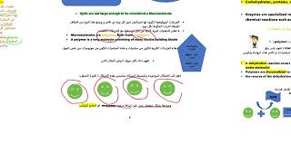 PART 1 chapter 5 macromolecules  carbohydrates and lipids [upl. by Mazurek]