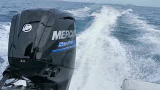 115 HP Mercury Sea Pro 21L [upl. by Ahsikrats647]