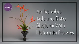 Ikebana Rikka Shofutai 2 An Ikenobo Ikebana Rikka Shofutai With Heliconia Flowers [upl. by Northey]