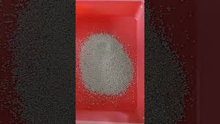 How to choose the best cat litter sand in budget cat cats leadingpets dollfacepersiancat [upl. by Scully]