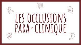 Sémiologie Chirurgicale  Diagnostic ParaClinique des Occlusions [upl. by Salis]